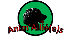 AnimAllies