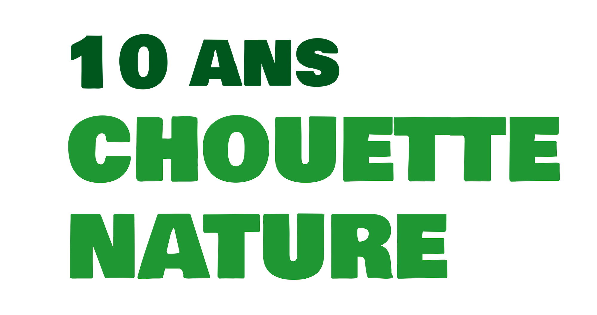 Elements_visuels_FCN-10